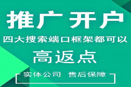 案例解析：百度推广排名提升的实战技巧